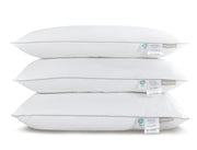 Hotel Collection Cotton Pillow - Aussino Malaysia